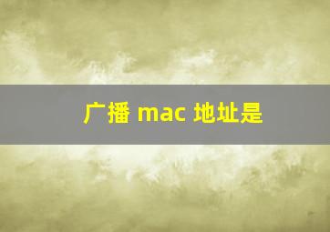 广播 mac 地址是